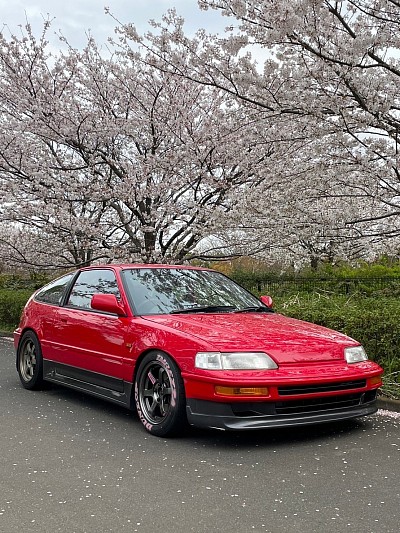 2022年8月〜23年2月に塗装しました